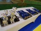 Волейбол 2015_1