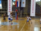 Волейбол международен  финал 2016_10