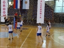 Волейбол международен  финал 2016_3