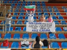Волейбол международен  финал 2016_5