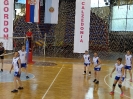Волейбол международен  финал 2016_8