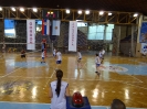 Волейбол международен  финал 2016_9